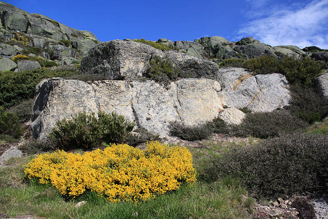 Portugal - Blühende Bergwelten